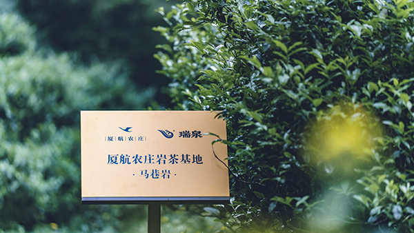 图片5new.jpg