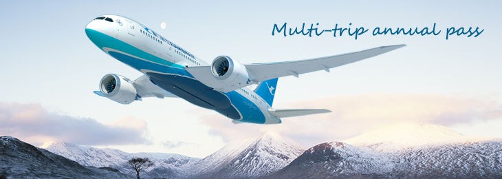 picture of plane