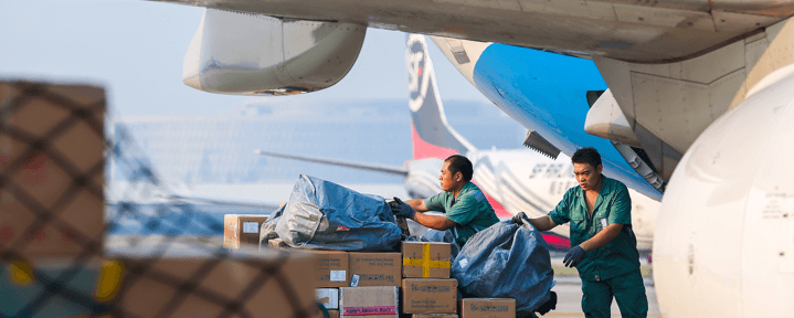 Instructions for The Collection of International Cargobackground
